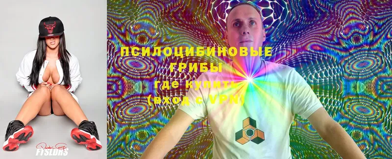 Галлюциногенные грибы Cubensis  купить  сайты  Приволжск 